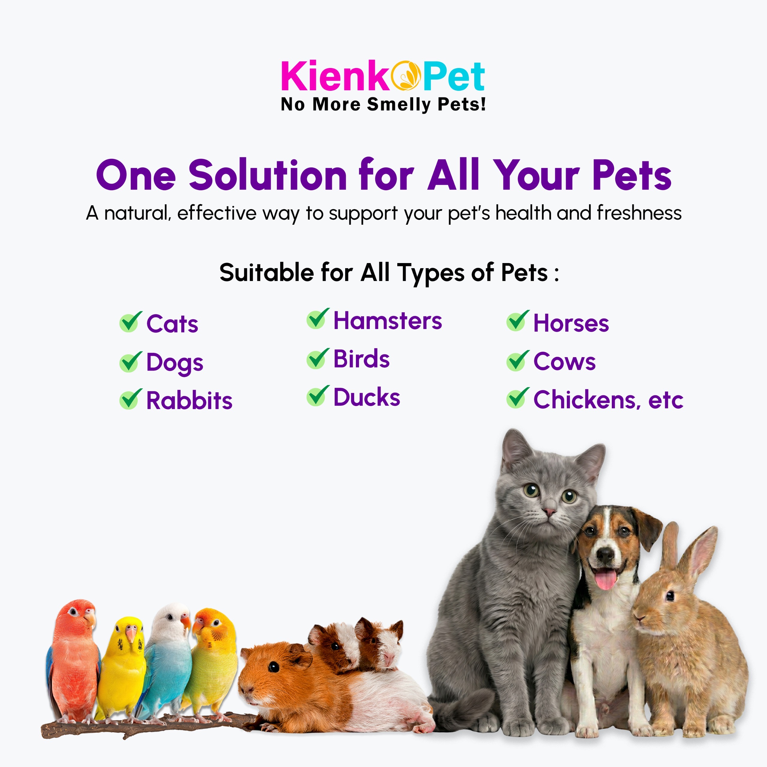 KienkoPet Essence view 4