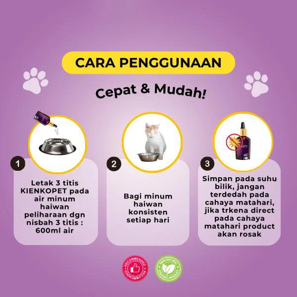 KienkoPet Essence view 5