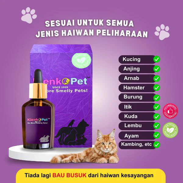 KienkoPet Essence view 2